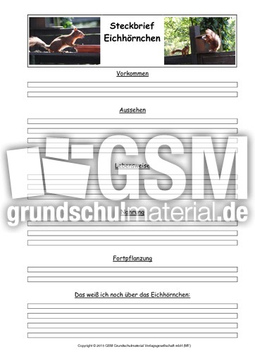 Eichhörnchen-Steckbriefvorlage-3.pdf